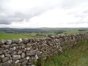 Dales 018