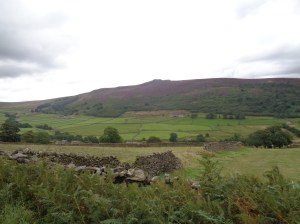 Dales 027