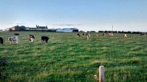 IMG_20140804_204017151_HDR