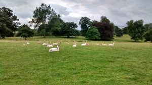 IMG_20140815_184619774_HDR