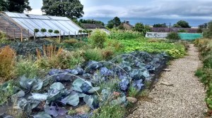 IMG_20140816_190632283_HDR