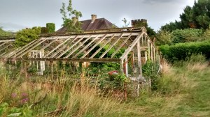 IMG_20140816_191222325_HDR