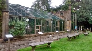 IMG_20140816_194333892_HDR