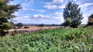 IMG_20140817_130110446_HDR