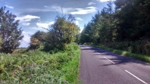 IMG_20140817_130118966_HDR