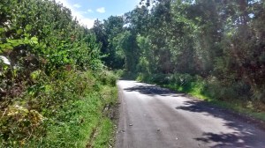 IMG_20140817_132630736_HDR