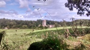 IMG_20140817_134856840_HDR