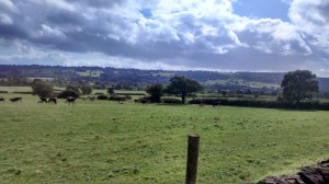 IMG_20140817_155247664_HDR