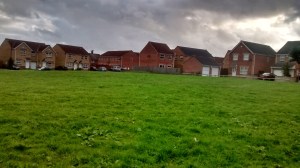 IMG_20140817_191150624_HDR