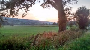 IMG_20140907_193119655_HDR